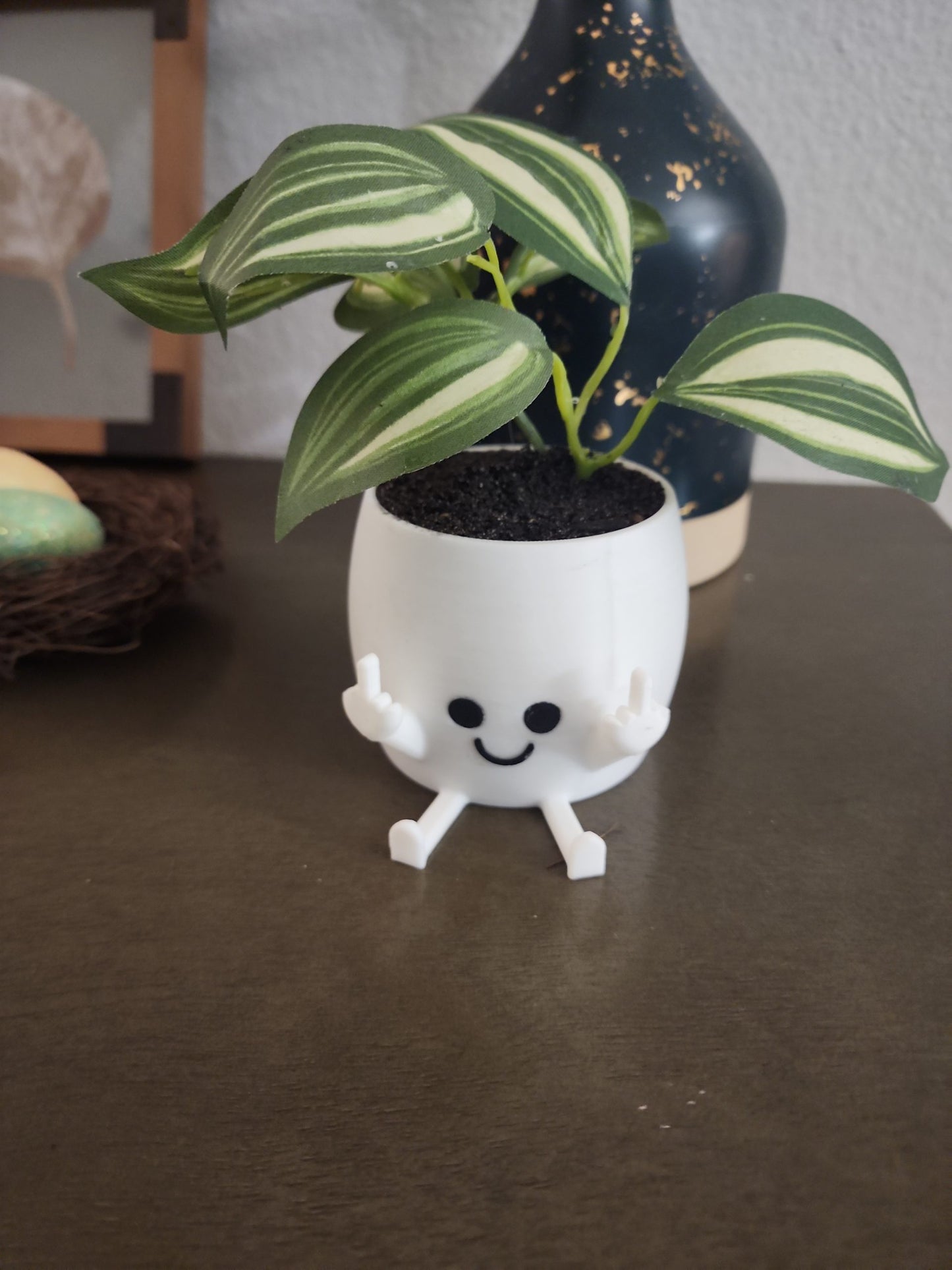 Cheeky Middle-Finger Planter