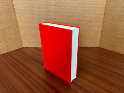 Hidden Book Compartment
