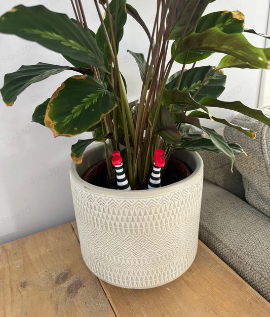 Wicked Witch Legs Plant Decor