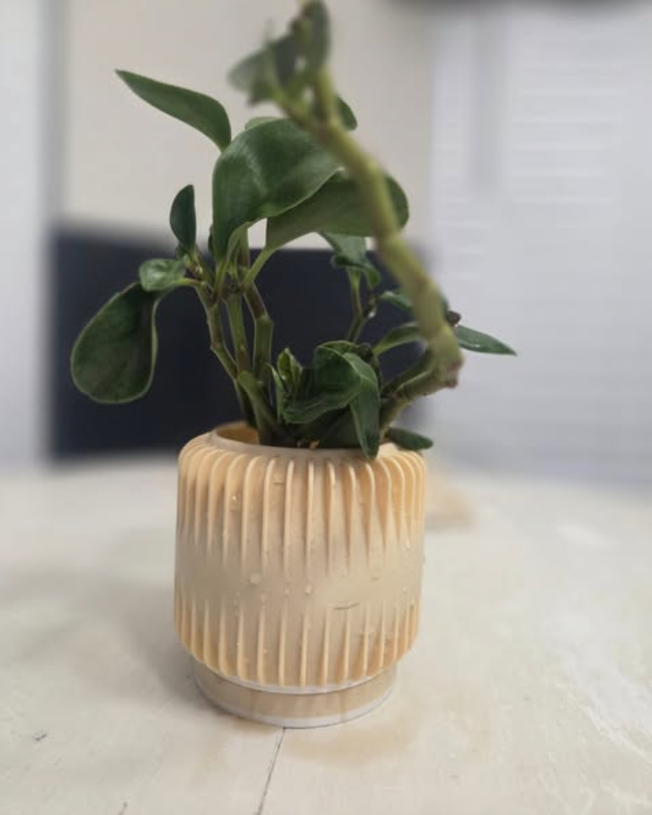 Modern Ribbed Planter with Base