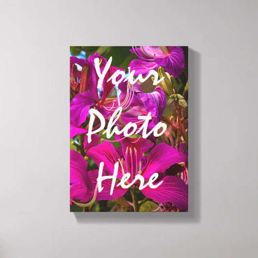 Customizable Canvas
